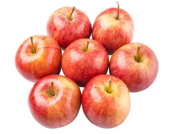 Apples, Zestar (lb.) From South Baldwin Farms