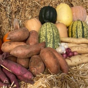 Fall Storage Share
