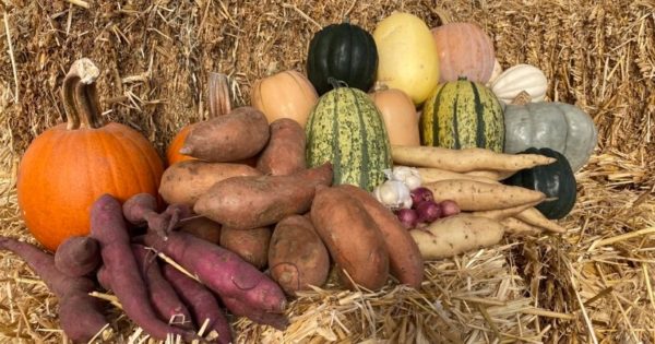 Fall Storage Share