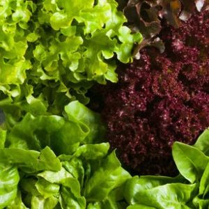Leafy Greens