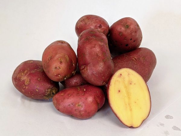 New Potatoes - French Fingerling (lb.)