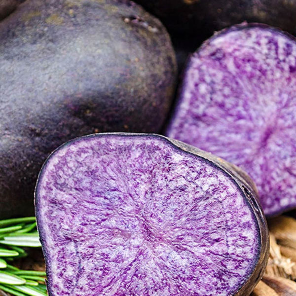 New Potatoes - Purple Majesty (lb.)