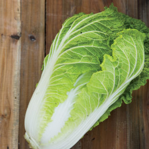Napa Cabbage
