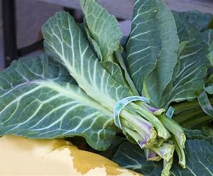 Collard Greens (bunch)