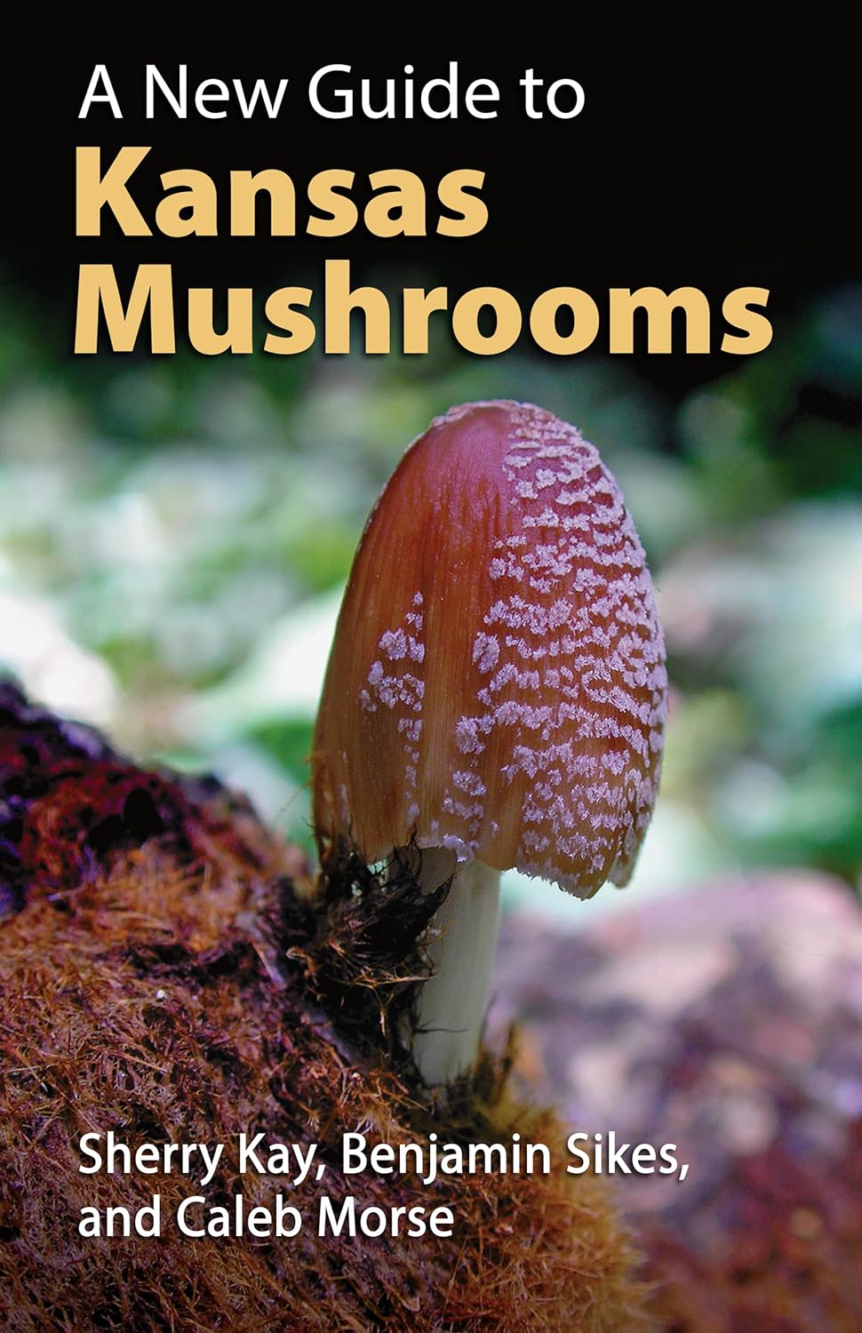 Sherry Kay Mushroom Book