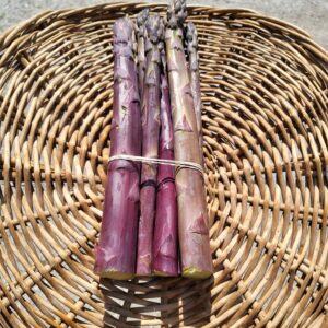 Asparagus, Purple Passion (lb.)