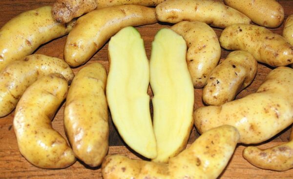 New Potatoes - Austrian Crescent (lb.)