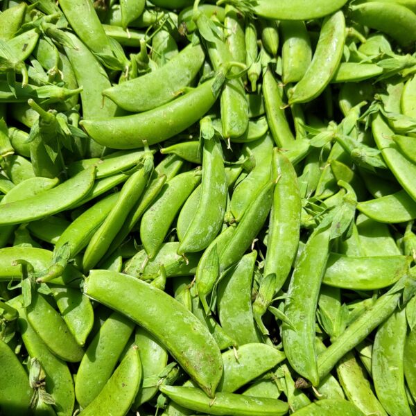 Sugar Snap Peas (lb.)
